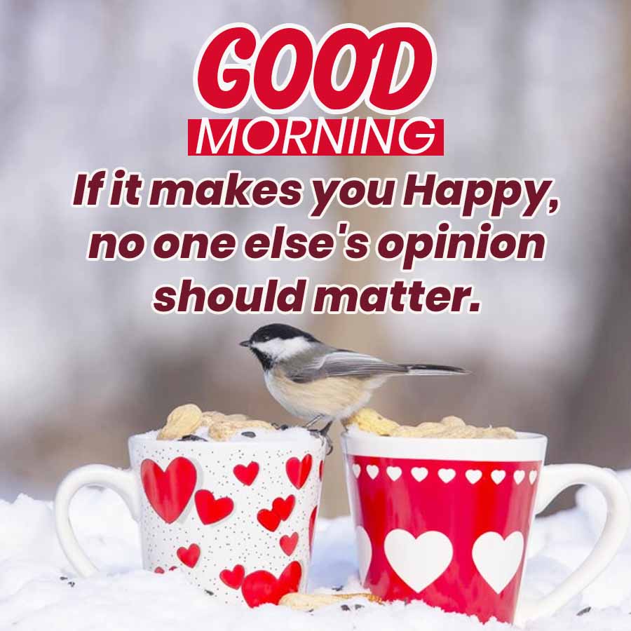 e75f49f7-3a4d-44f7-8957-ee358fde35a6_dimension=900x900&type&type=GoodMorning