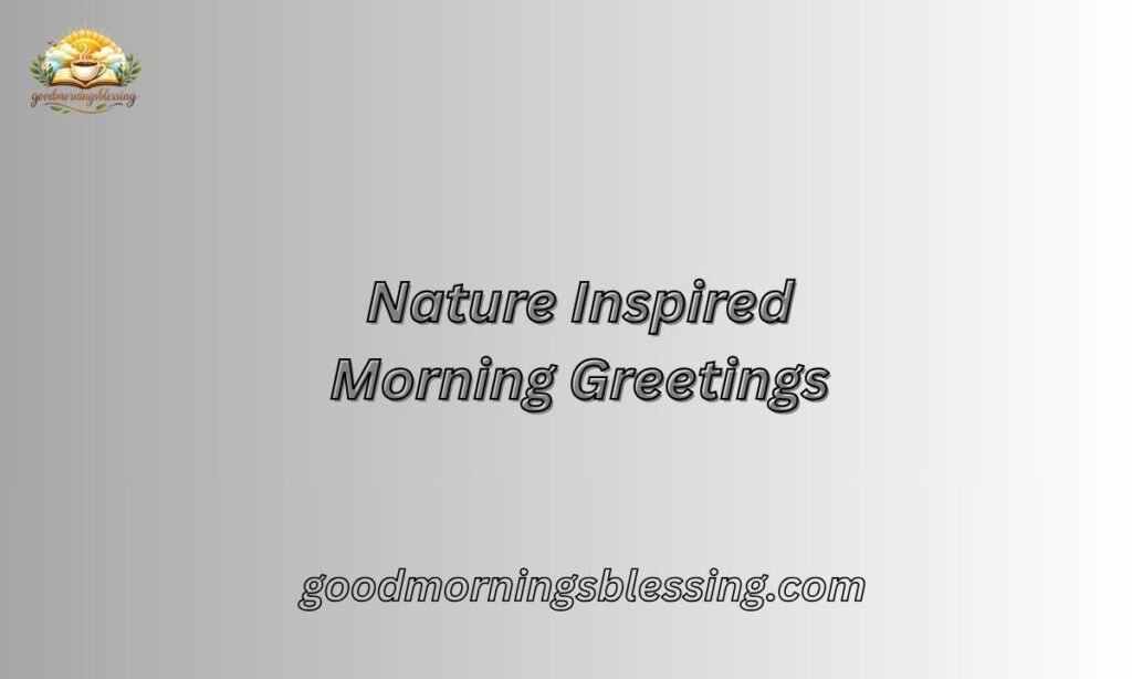 Beautiful Sunrise Good Morning Images with Nature